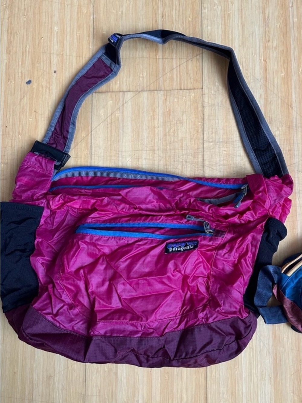 Patagonia travel courier